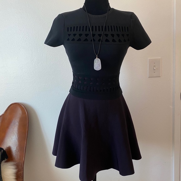 Ted Baker London Skater Skirt - Picture 3 of 4